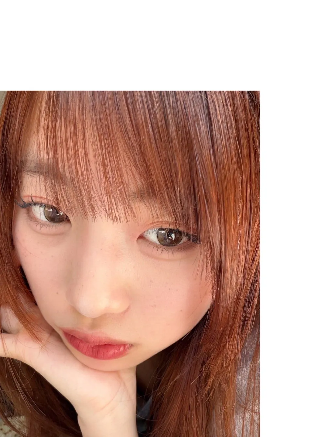 きょうもいいひ　伊勢鈴蘭
