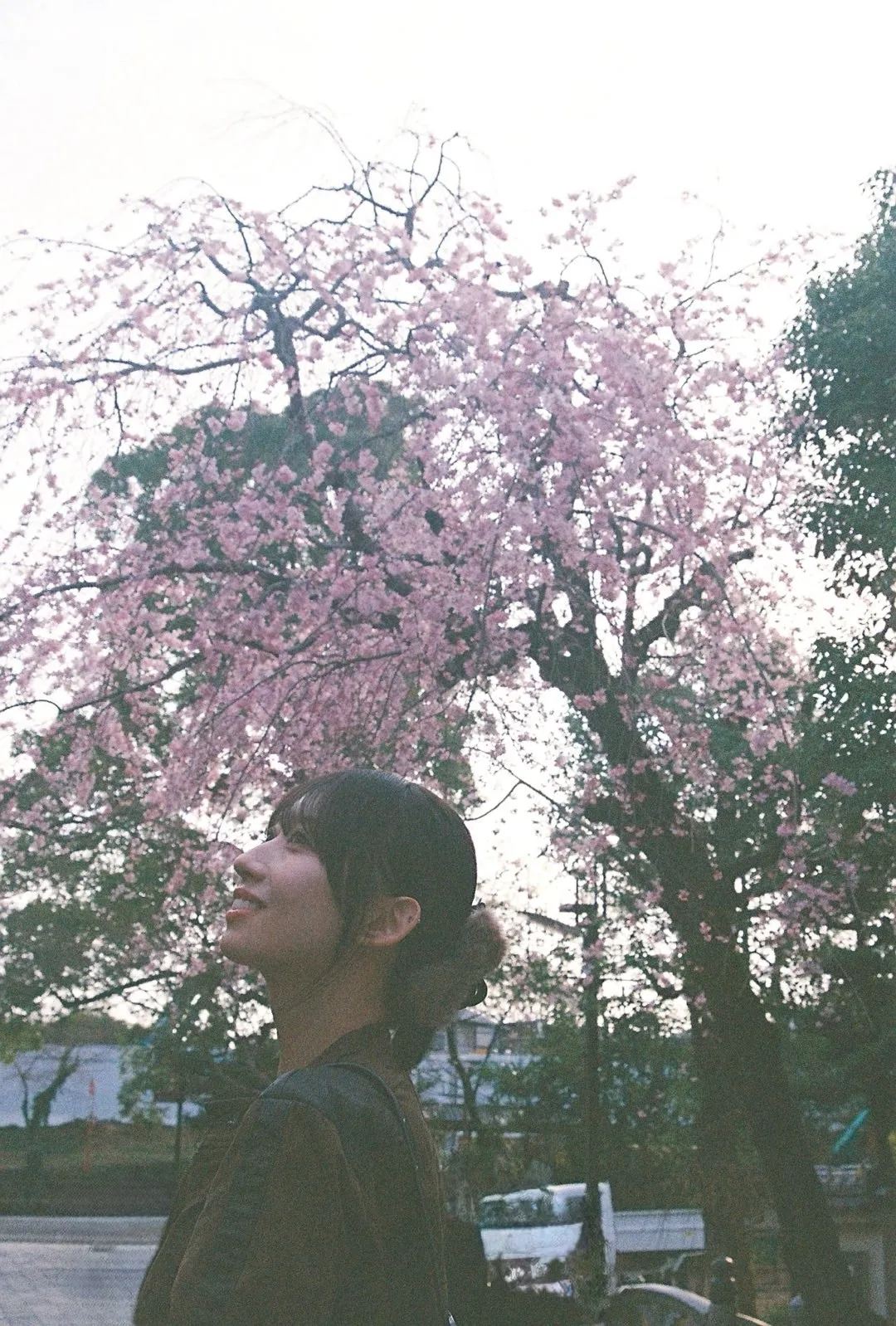 よしよしよーし ʚ♡ɞ 前田こころ