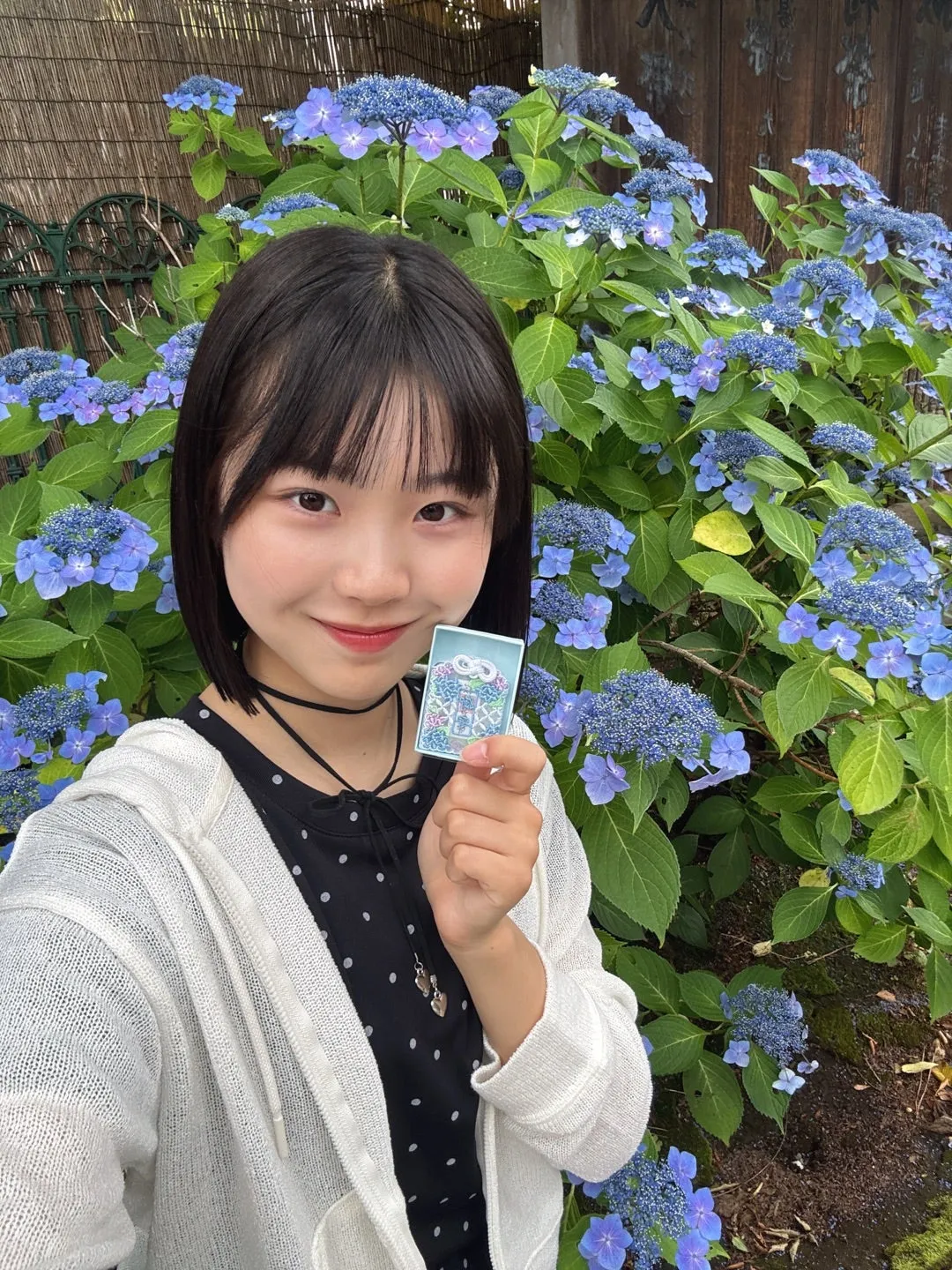 あじさい　石川華望