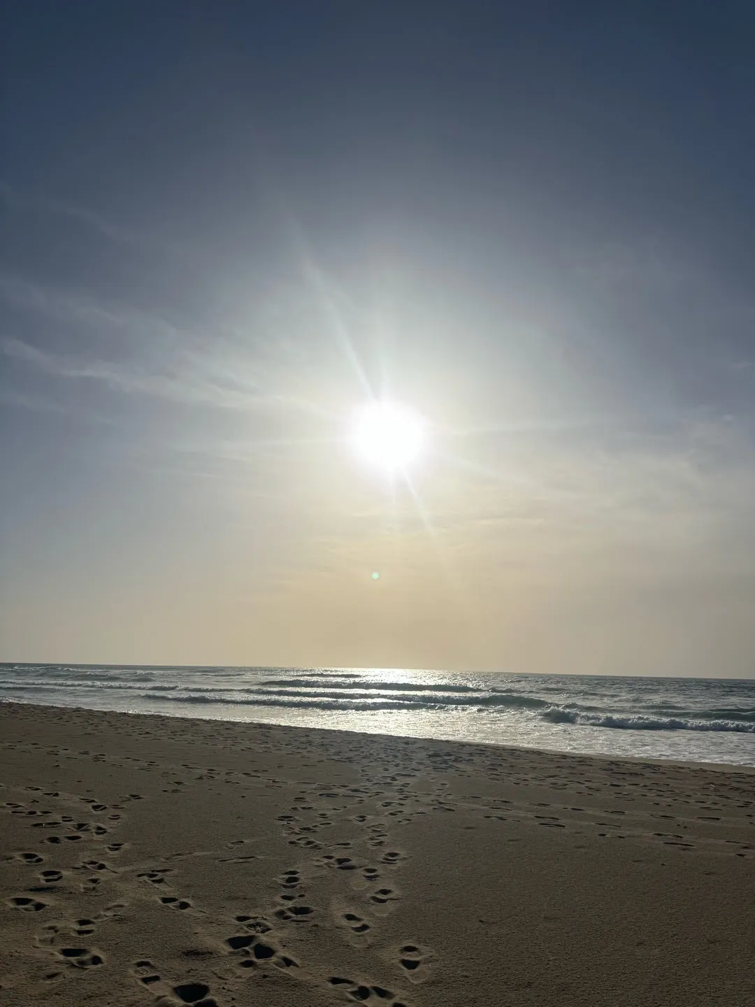 のんびりさん@斉藤円香