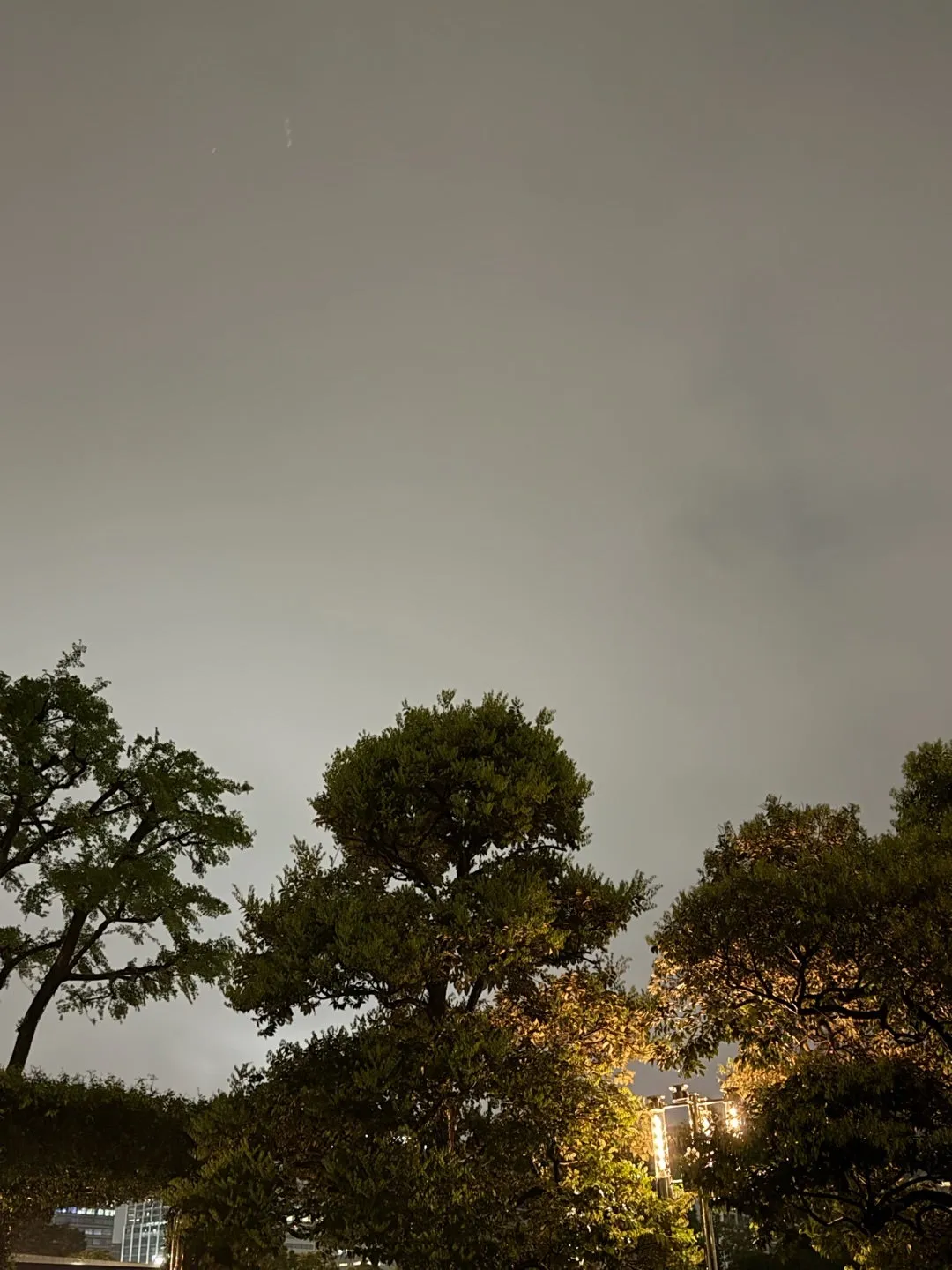 れいにー　広本瑠璃