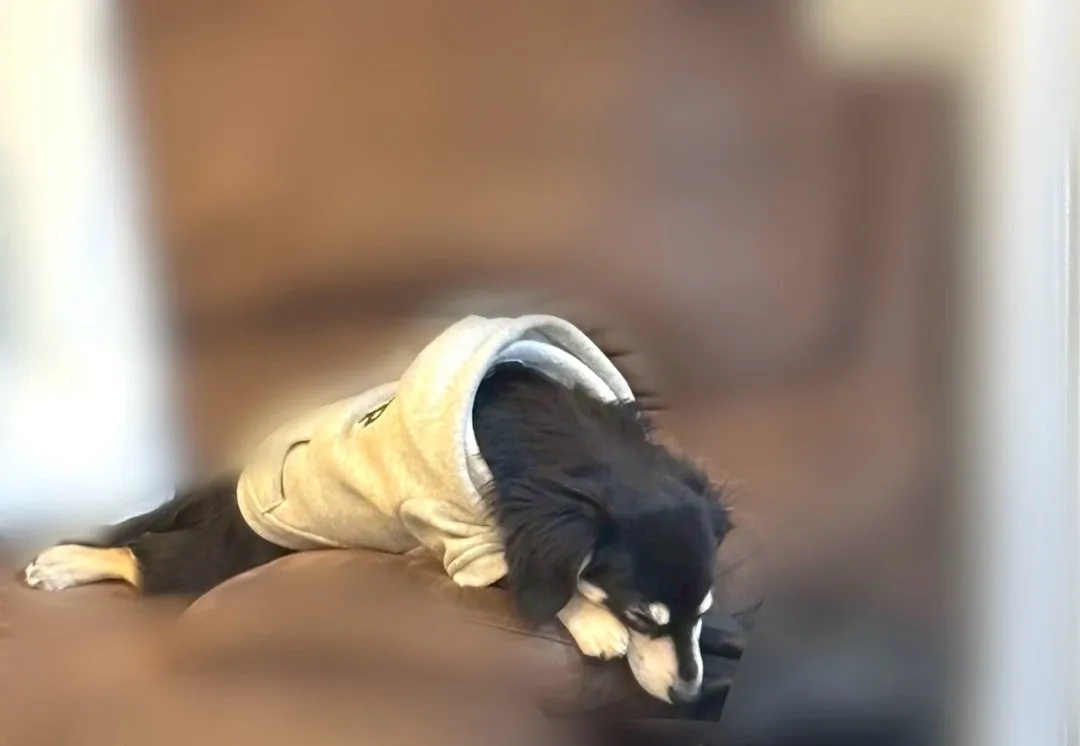 ♡くぅちゃん   村越彩菜