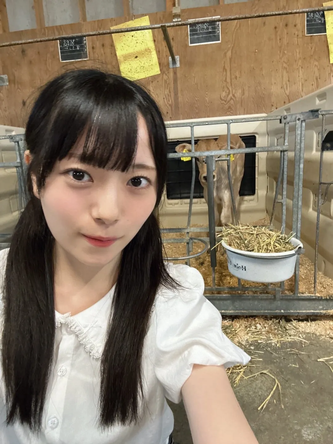 シールパトロール 小野田華凜