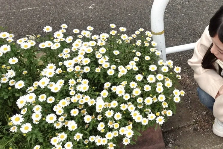 あと10日 上村麗菜