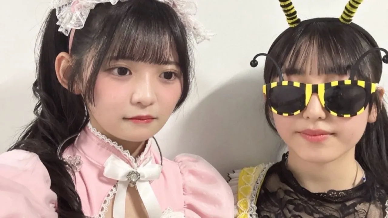ハチさんに出会った石井泉羽
