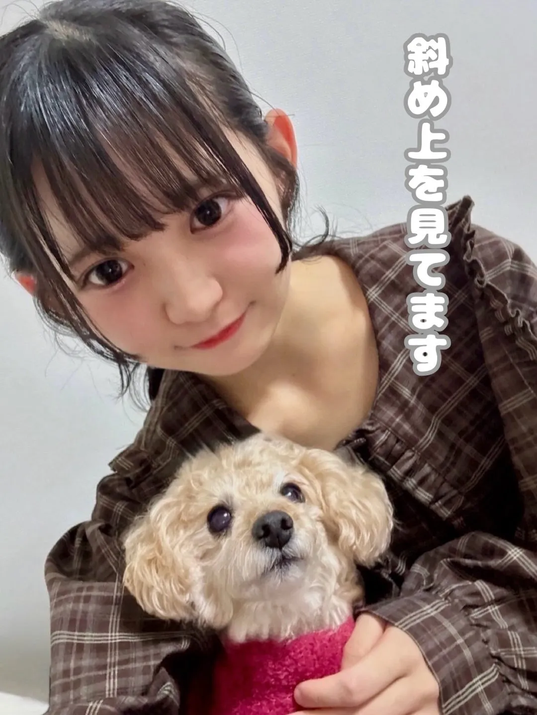 愛犬だったりいちごだったりの石井泉羽