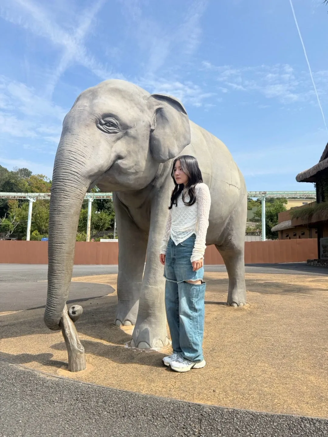 動物の大渋滞 村田結生