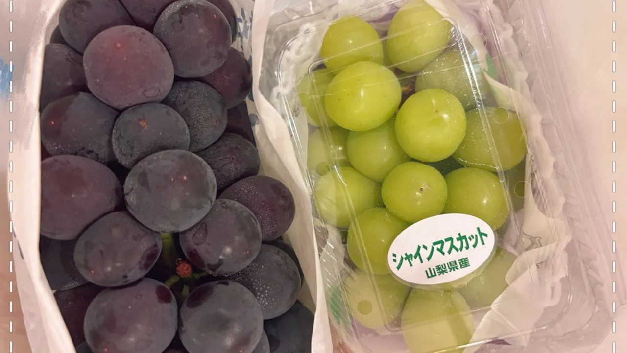 灼熱2026(  ᐢᢦᐢ ) 豫風瑠乃