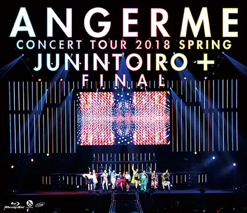 アンジュルム コンサートツアー 2018春 十人十色 ＋ ファイナル
