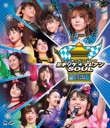 モーニング娘。コンサートツアー2013春ミチシゲ☆イレブンSOUL〜田中