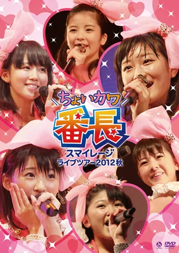 スマイレージ ライブツアー2012秋〜ちょいカワ番長〜