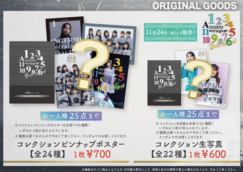 UF Goods Land】アンジュルム コンサートツアー 2023秋 11人の