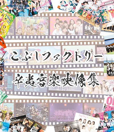 新品未開封 こぶしファクトリー 辛夷其ノ壱 初回生産限定盤B 2CD 新品未開封 こぶしファクトリー 辛夷其ノ壱 初回生産限定盤B 2CD