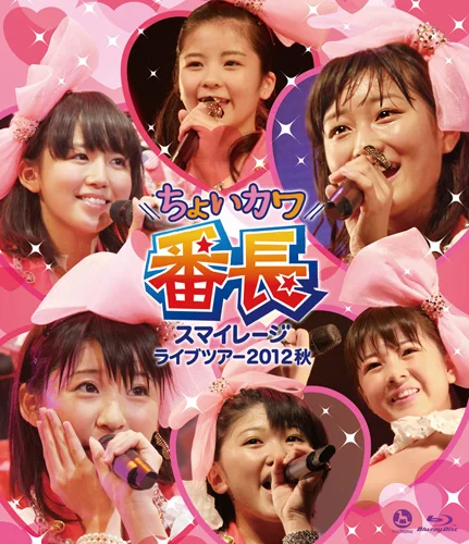 スマイレージ ライブツアー2012秋〜ちょいカワ番長〜